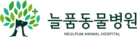 늘품동물병원